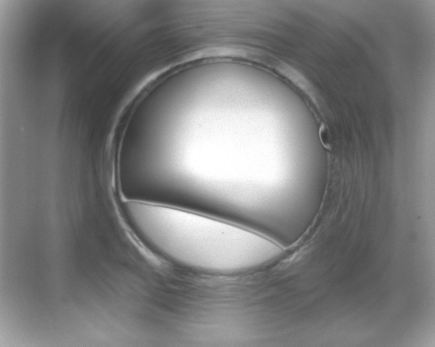 X0000068891127200605051108