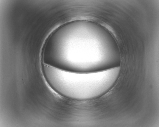 X0000068891135200605051108