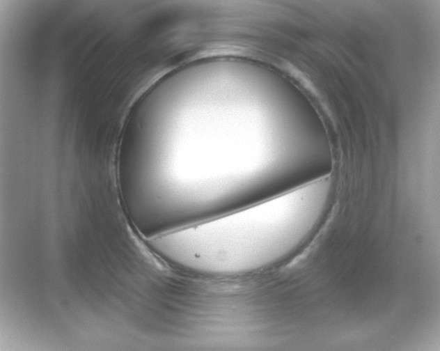 X0000068891137200605051108