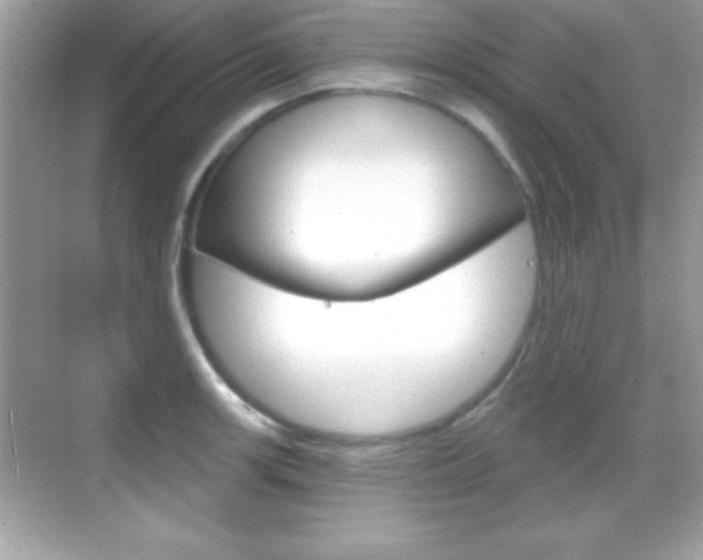 X0000068891139200605051108