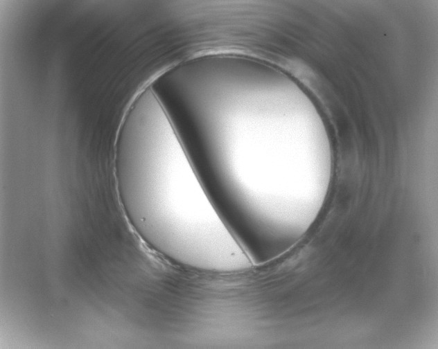 X0000068891145200605051108