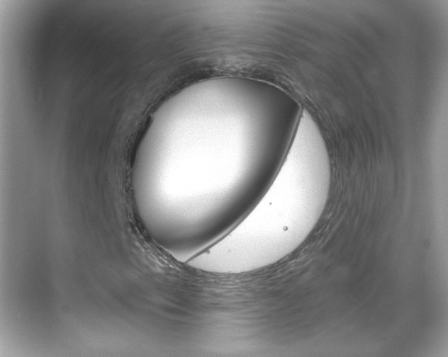 X0000068891153200605051108