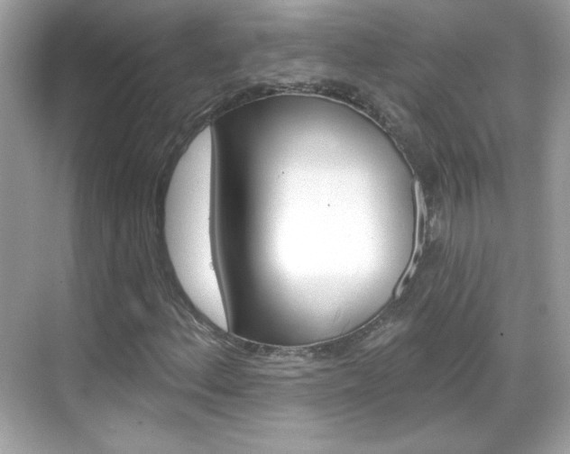 X0000068891156200605051108