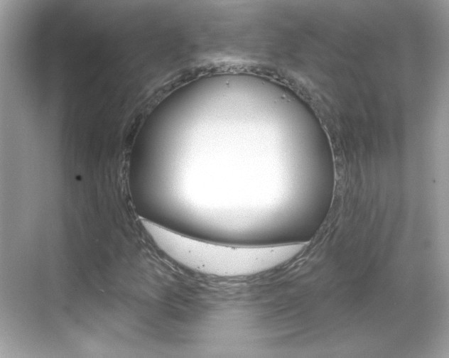 X0000068891157200605051108