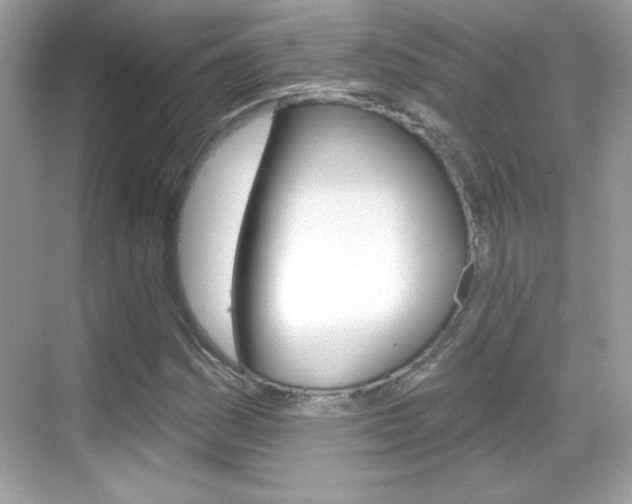 X0000068891161200605051108