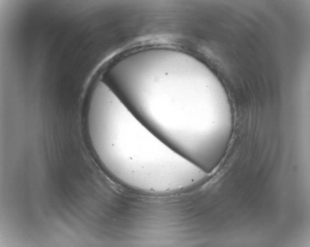 X0000068891166200605051107