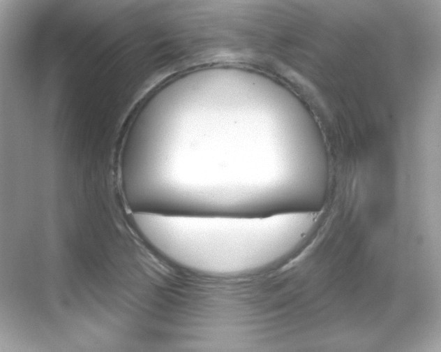 X0000068891170200605051107