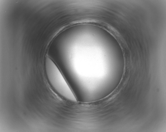 X0000068891177200605051107