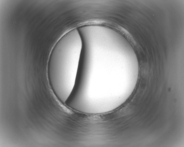 X0000068891186200605051107