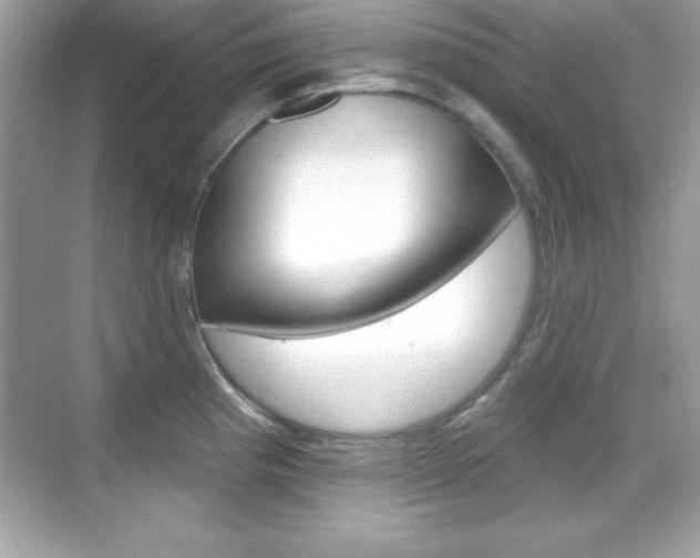 X0000068891193200605051107