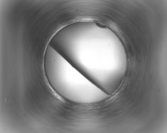 X0000068891194200605051107