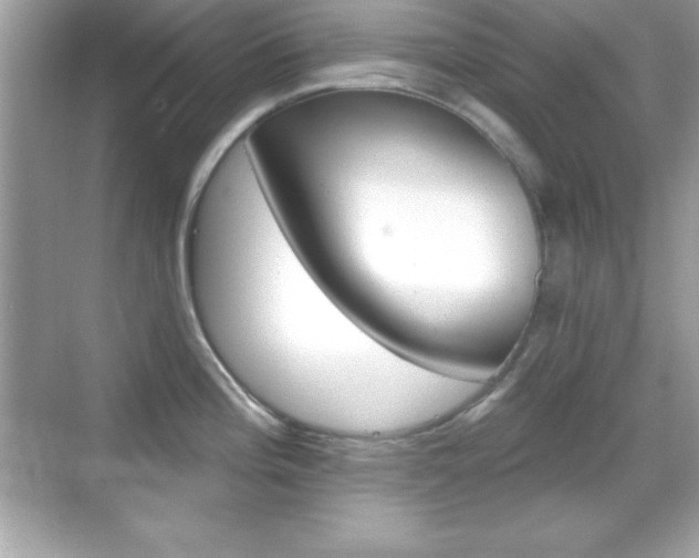 X0000068891196200605051107