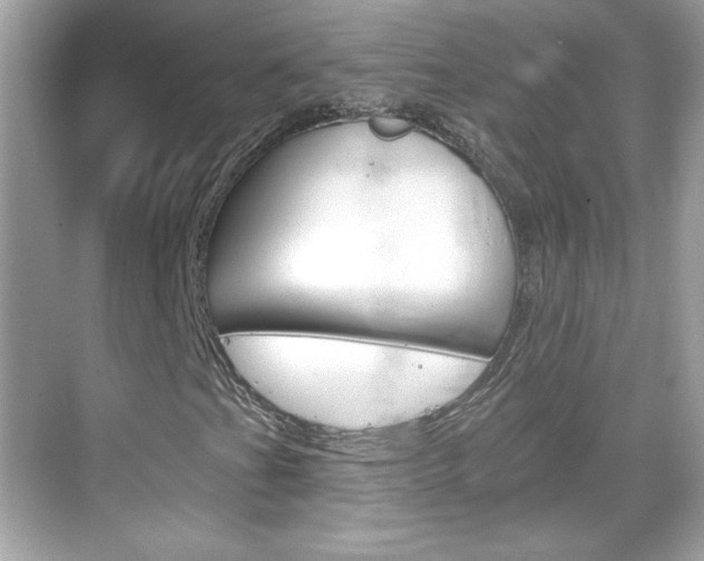 X0000068891201200605051106