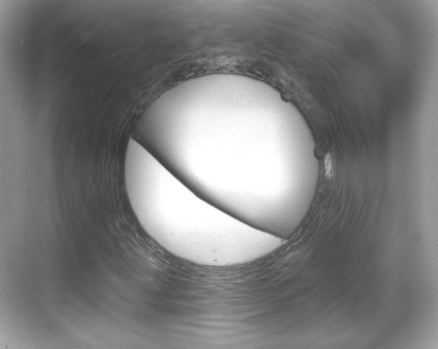 X0000068891203200605051106