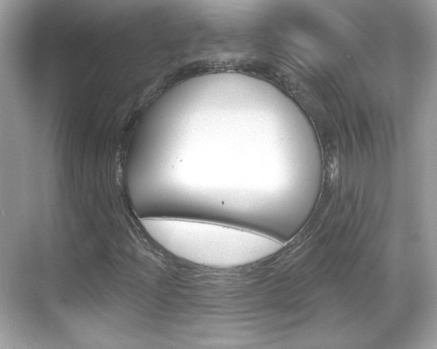X0000068891204200605051106