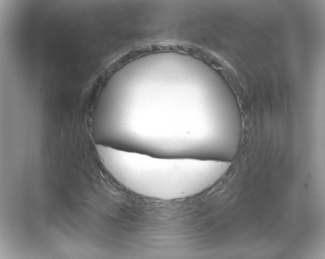X0000068891207200605051106