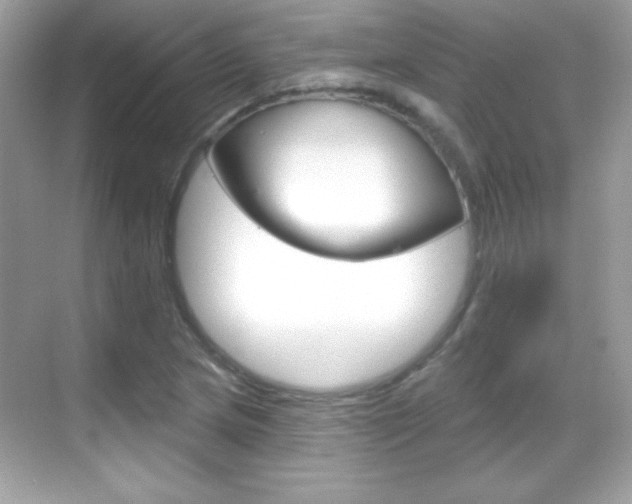 X0000068891217200605051106