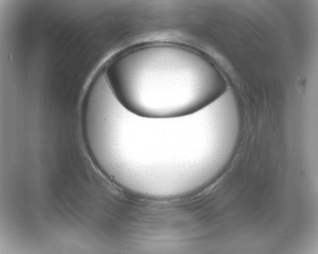 X0000068891224200605051106