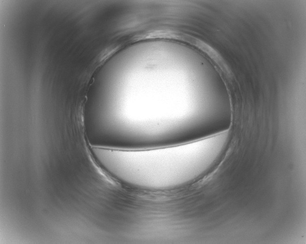 X0000068891241200605051107
