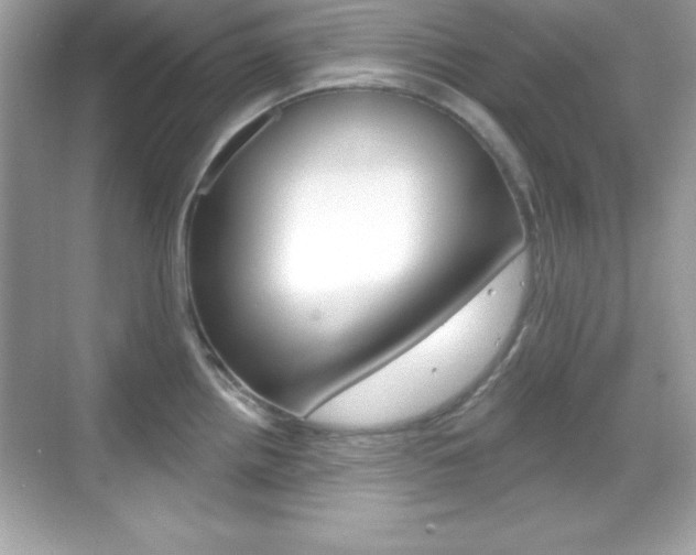 X0000068891242200605051107