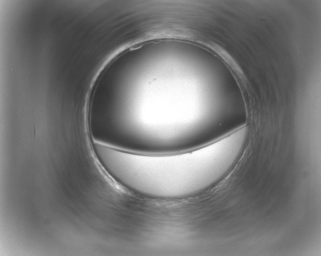 X0000068891246200605051107