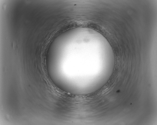 X0000068891249200605051106