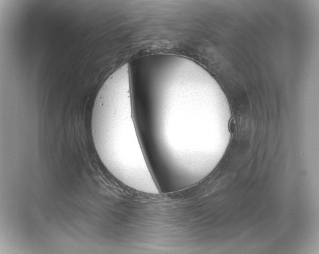 X0000068891250200605051106