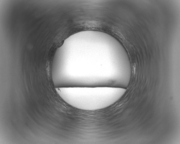 X0000068891251200605051106