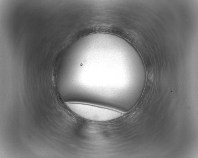X0000068891252200605051106