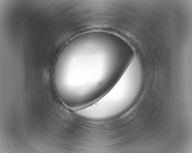 X0000068891257200605051106