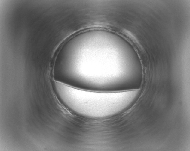X0000068891260200605051106