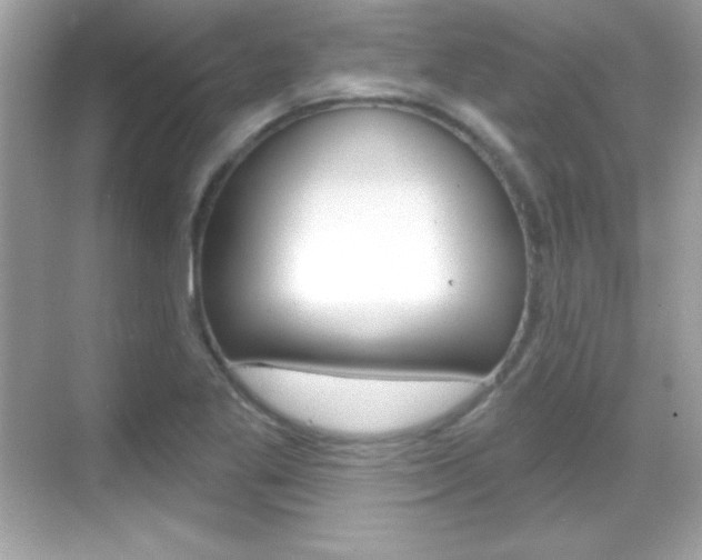 X0000068891269200605051106