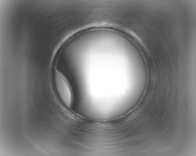 X0000068891270200605051106