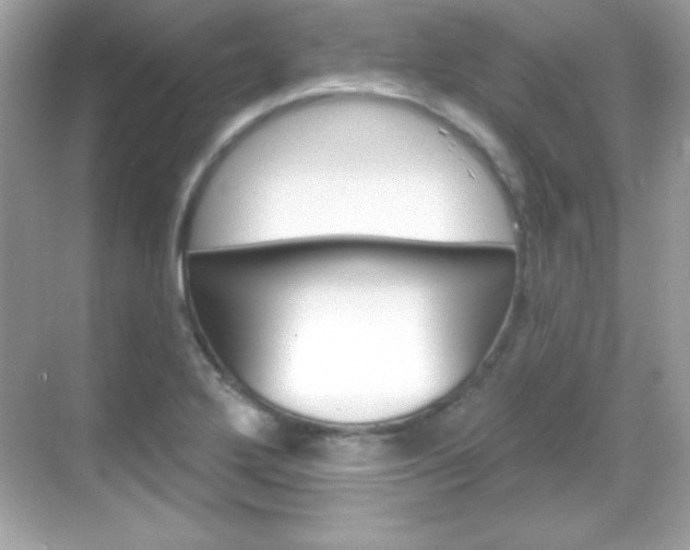 X0000068891272200605051106