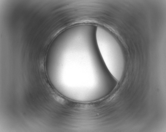 X0000068891273200605051106