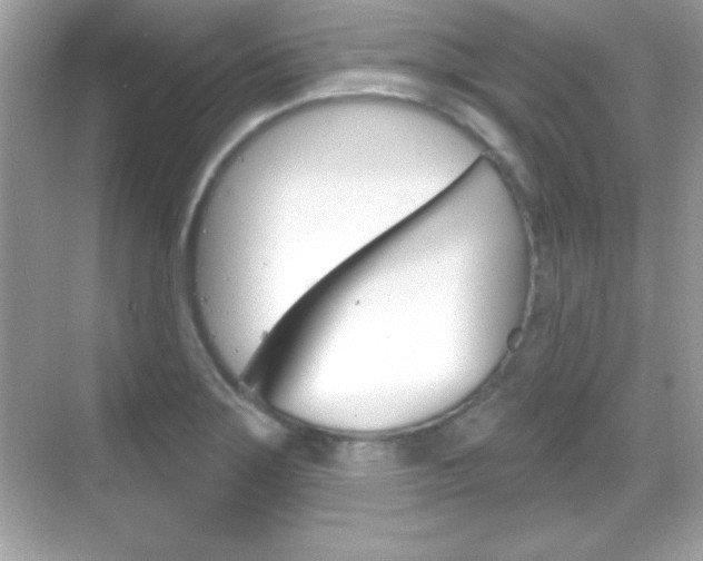 X0000068891275200605051106