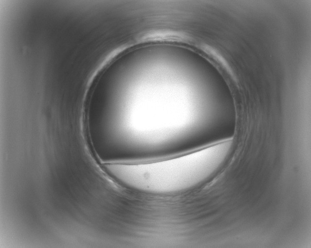 X0000068891277200605051106