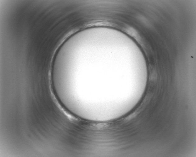 X0000068891282200605051106
