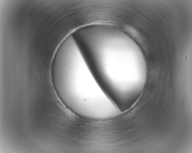 X0000068891284200605051105