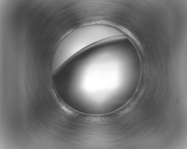 X0000068891289200605051105