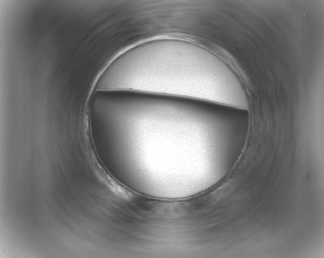 X0000068891292200605051105