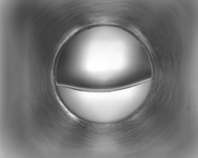 X0000068891293200605051105