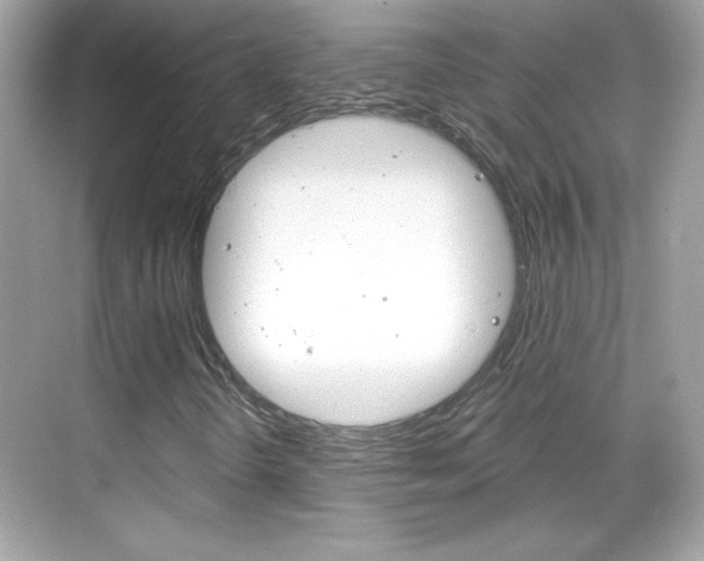 X0000068891298200605051104