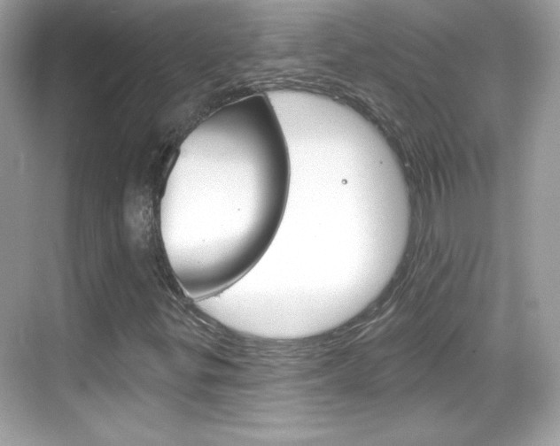 X0000068891299200605051105