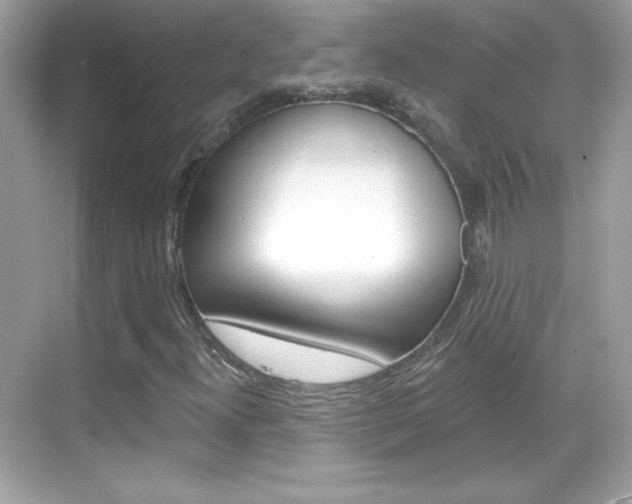 X0000068891300200605051105
