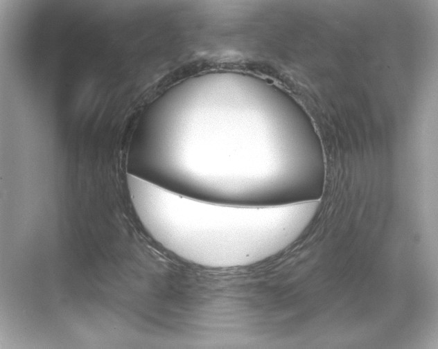 X0000068891301200605051105