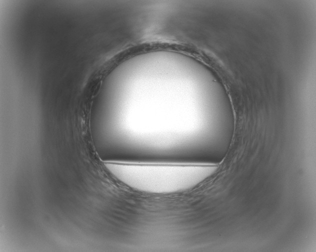 X0000068891303200605051105
