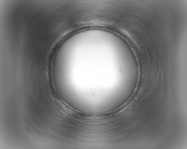 X0000068891307200605051105