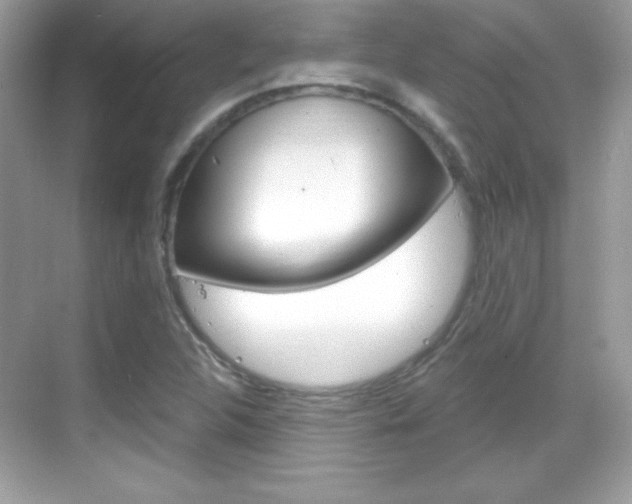 X0000068891312200605051105