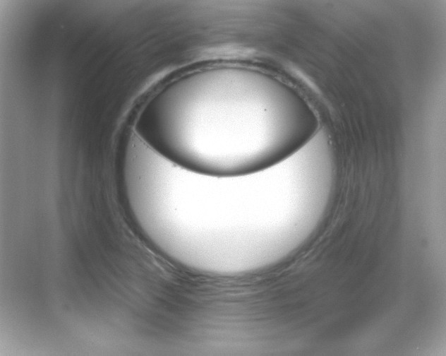 X0000068891315200605051105